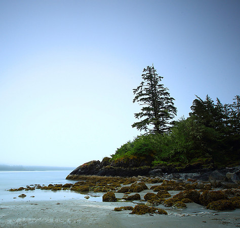 Pacific Rim, Vancouver Island, Canada